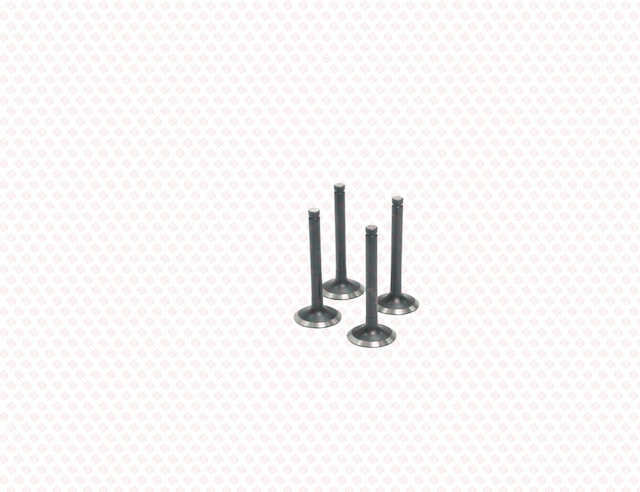 EXHAUST VALVE