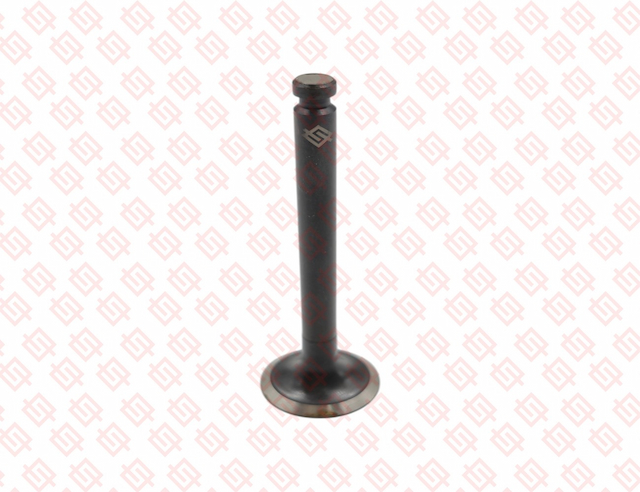 EXHAUST VALVE