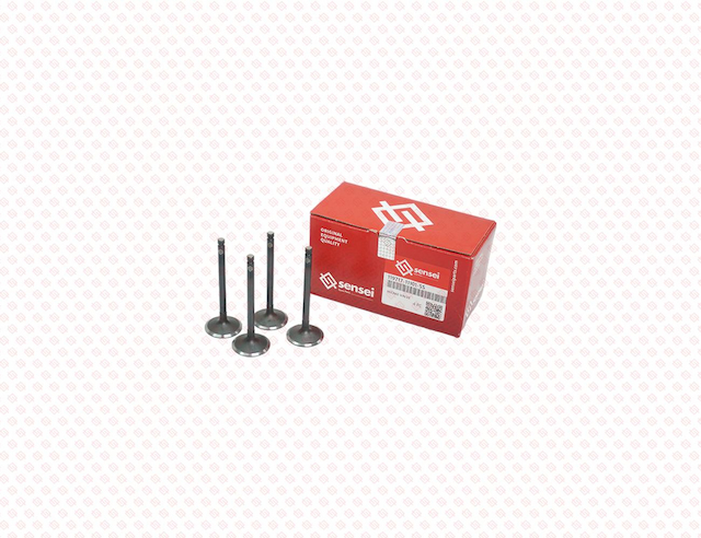 INTAKE VALVE