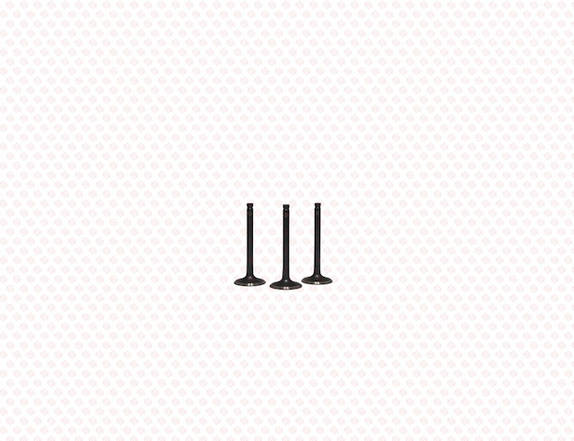 EXHAUST VALVE