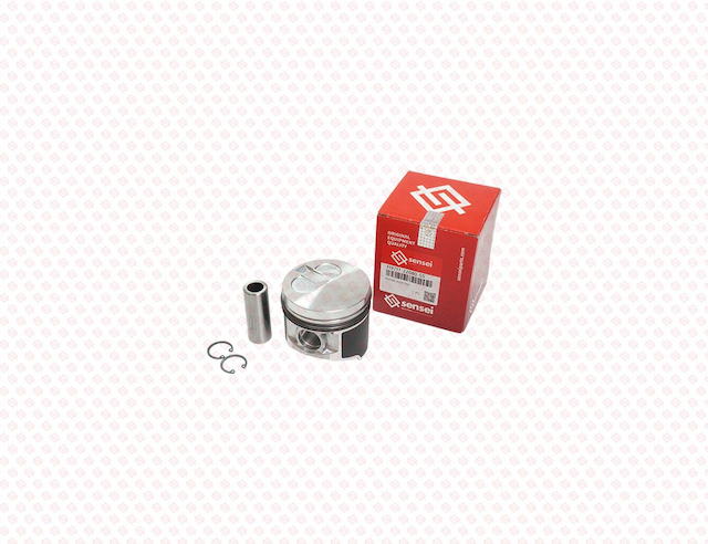 PISTON ASSY STD