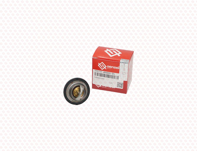 THERMOSTAT