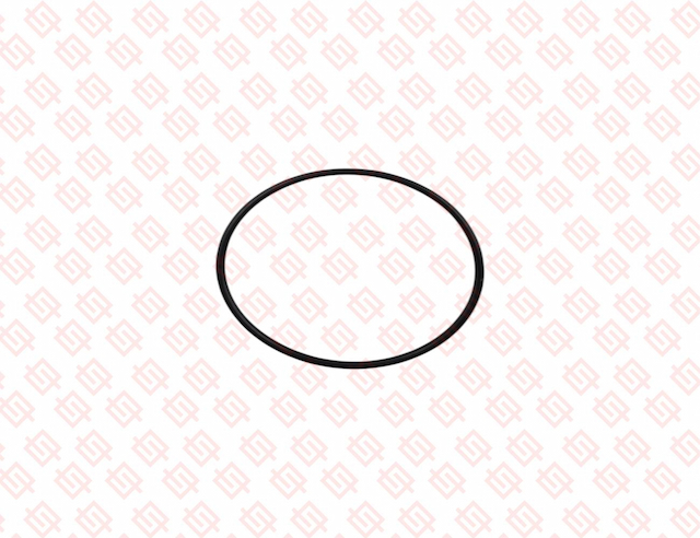 O-RING