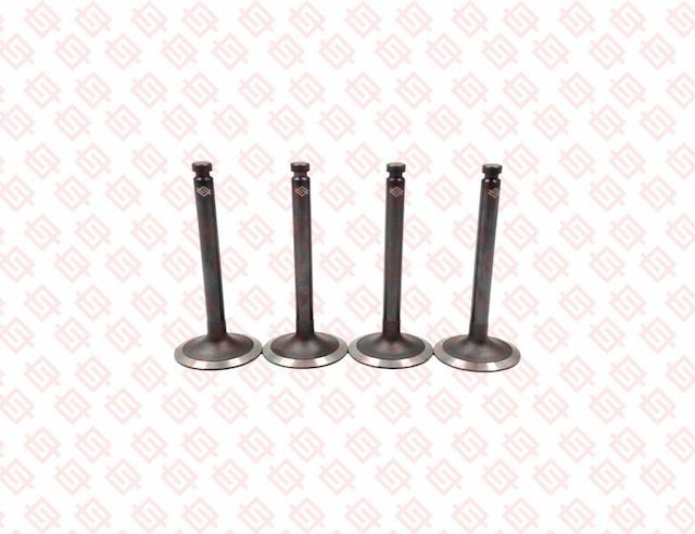 INTAKE VALVE