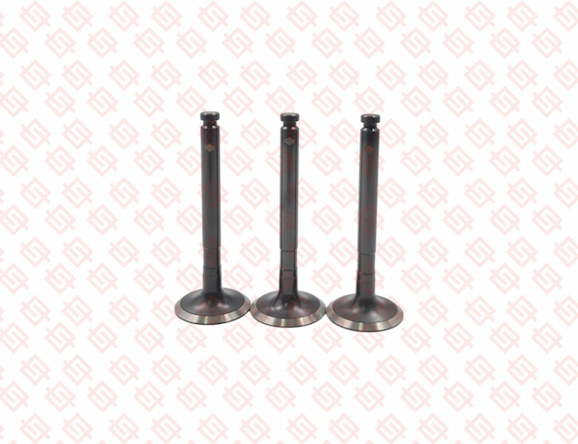 EXHAUST VALVE