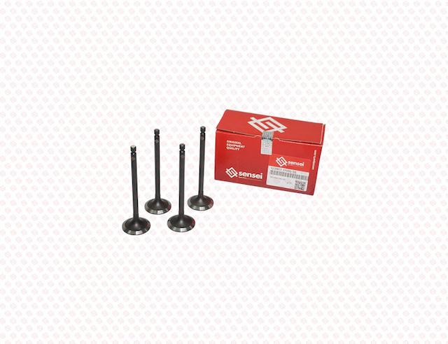 INTAKE VALVE