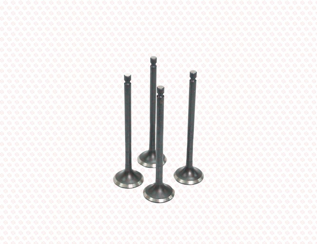 EXHAUST VALVE