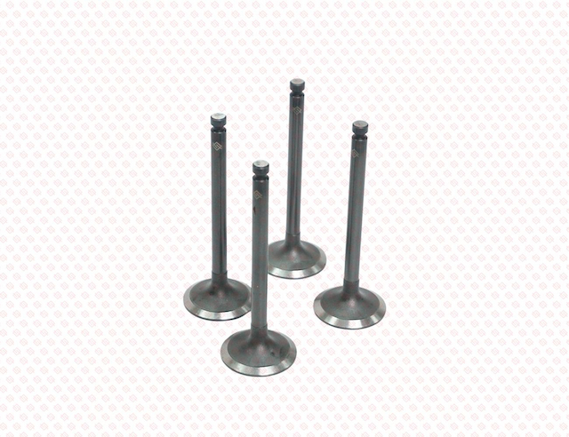 INTAKE VALVE