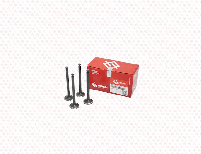EXHAUST VALVE