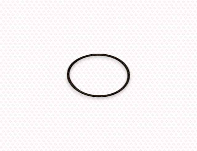 GASKET, THERMOSTAT