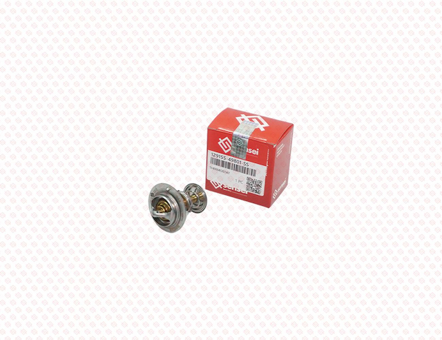 THERMOSTAT