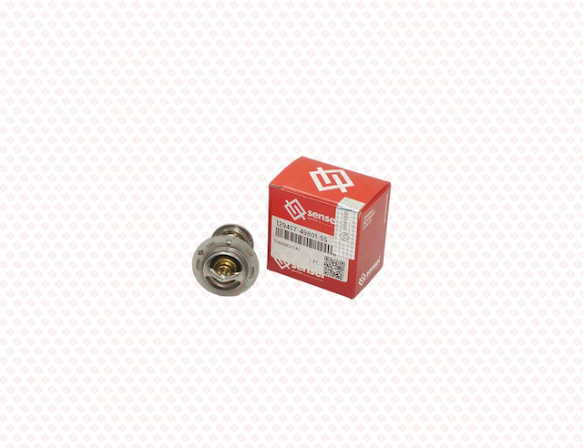 THERMOSTAT