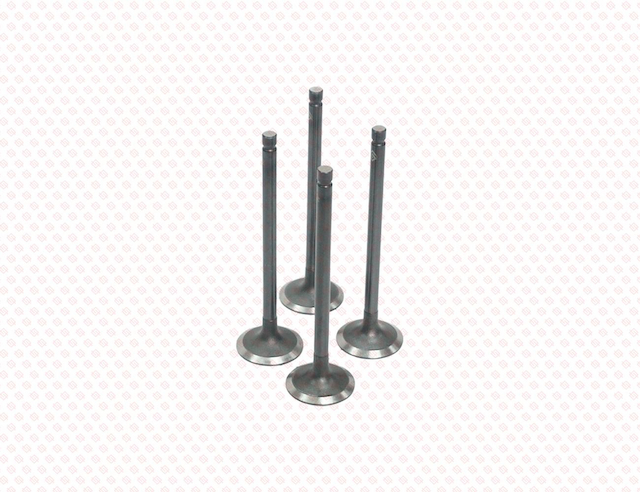 INTAKE VALVE