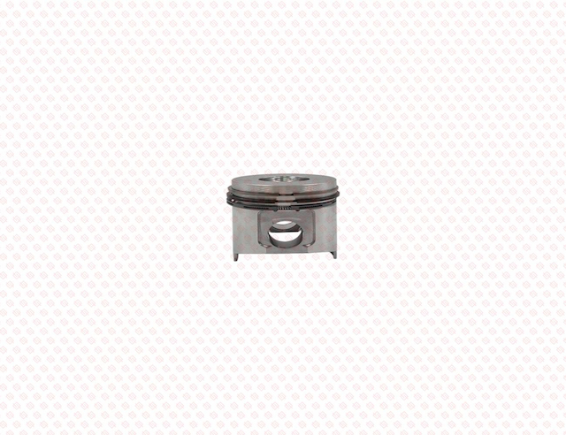 PISTON ASSY 025 OS