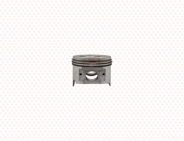 PISTON ASSY 025 OS