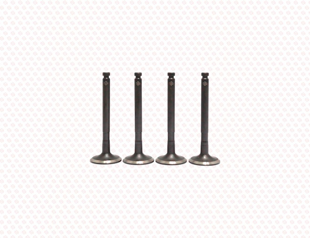 EXHAUST VALVE