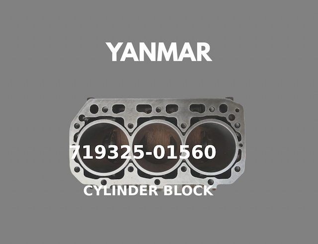 CYLINDER BLOCK ASSY