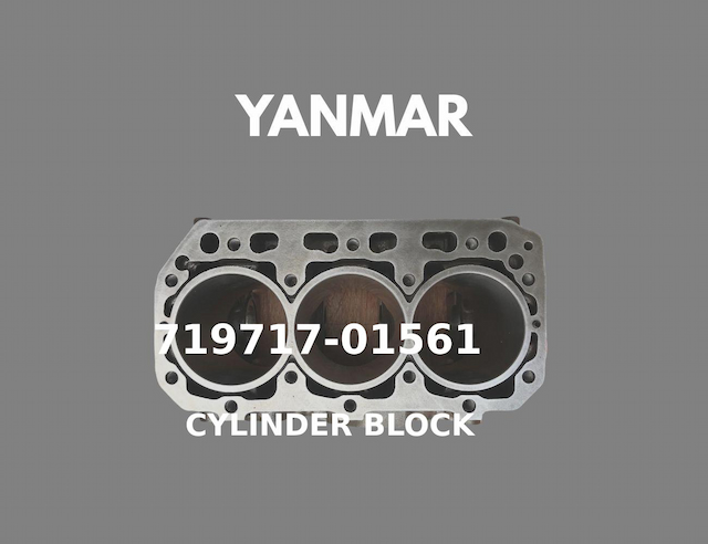 BLOCK ASSY, CYLINDER