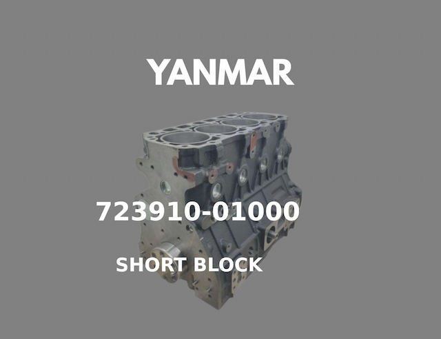 SHORT BLOCK ASSY