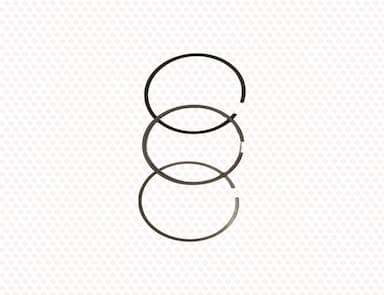 119515-22550-SS--2