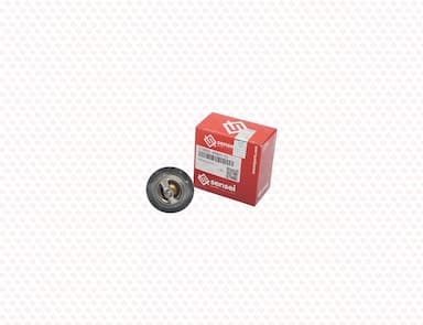 121850-49801-SS-1