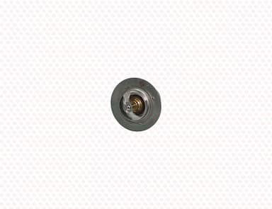 121850-49801-SS-2