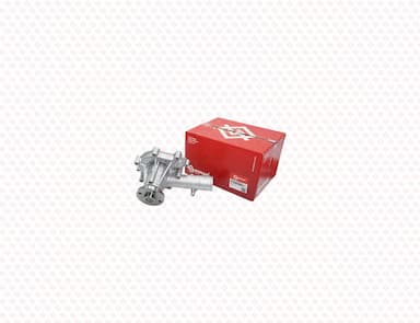 123900-42000-SS-1
