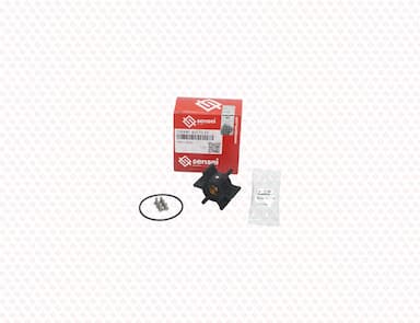 128990-42570-SS-1