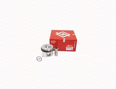 129001-22081-SS-1