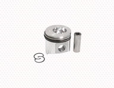129001-22081-SS-2