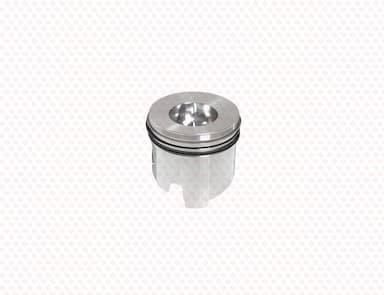 129001-22081-SS-4