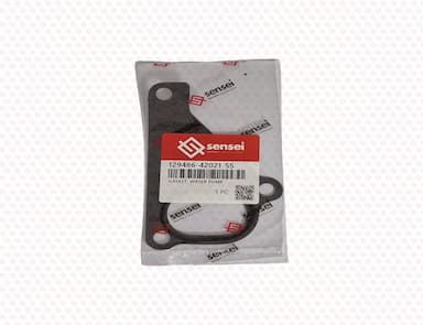 129486-42021-SS--4