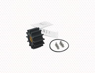 129670-42610-SS-3