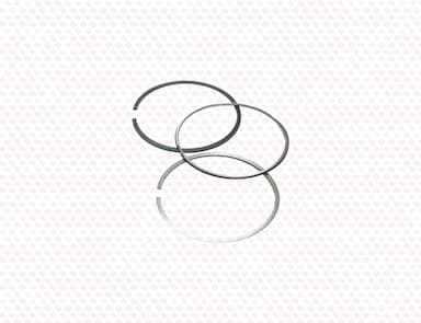 129901-22050-SS-2