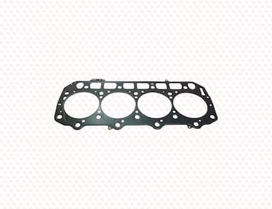 129902-01331-SS-2
