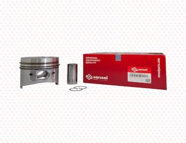 129903-22940-SS--1