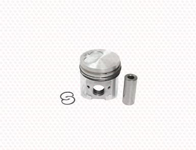 129904-22120-SS-2