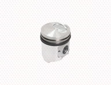 129904-22120-SS-4