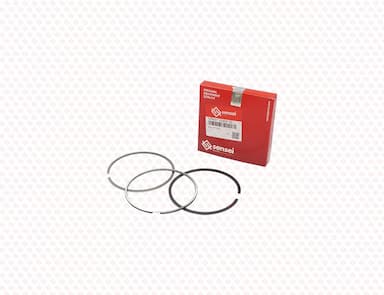 129927-22050-SS-1