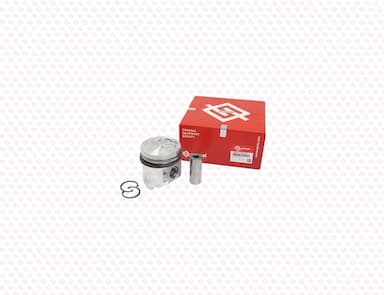 129931-22100-SS-1