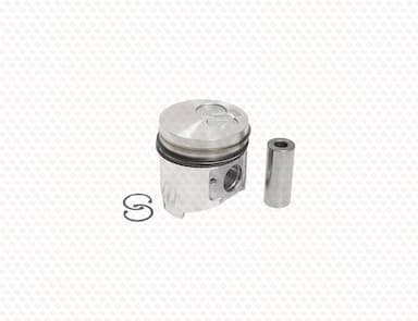 129931-22100-SS-2