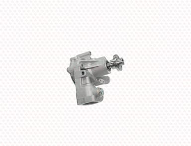 729685-42110-SS-6