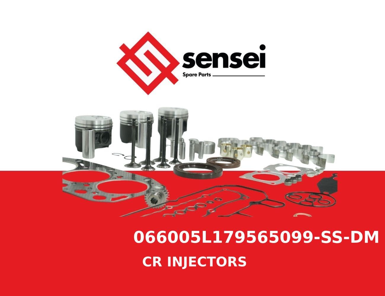 066005L179565099-SS-DM