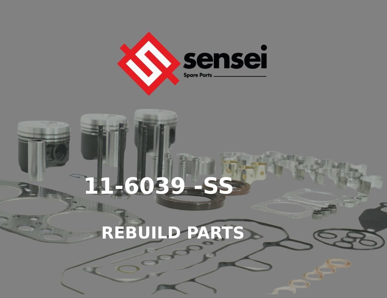 119260-11100-SS