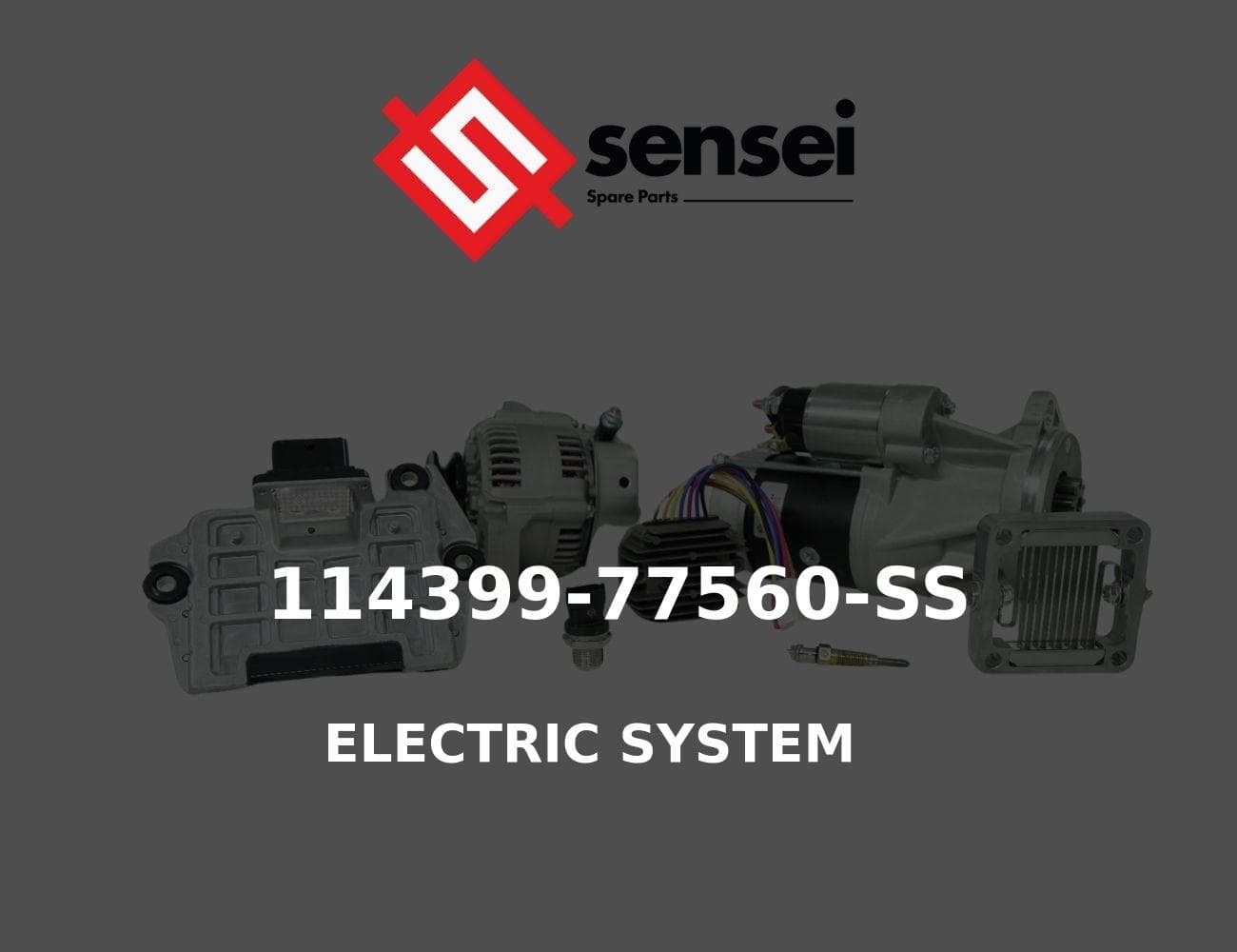 114399-77560-SS