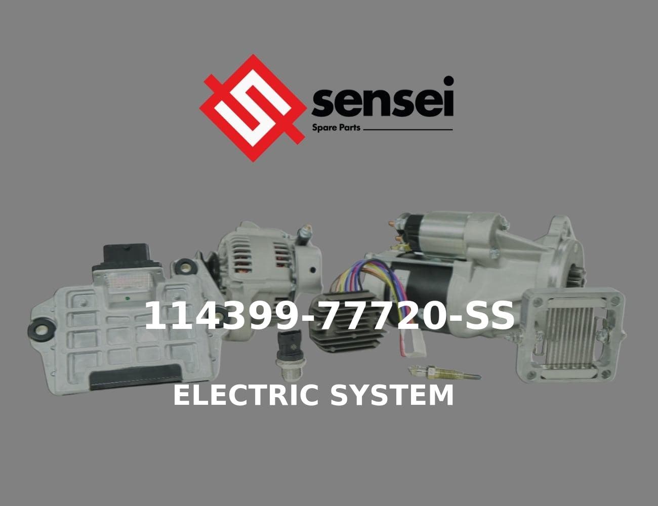 114399-77720-SS