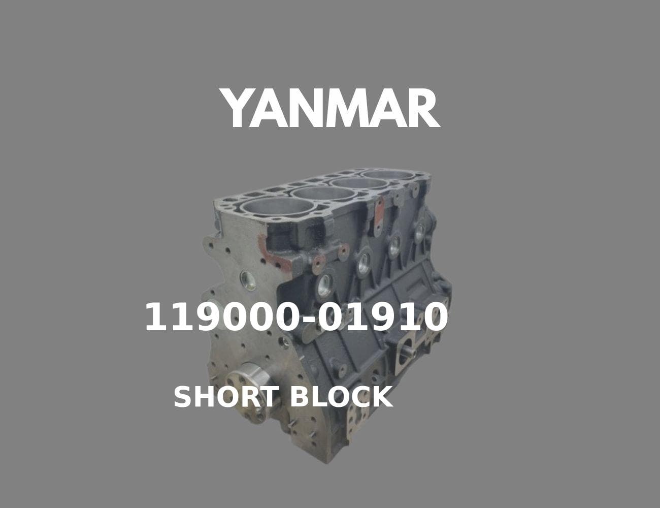 119000-01910