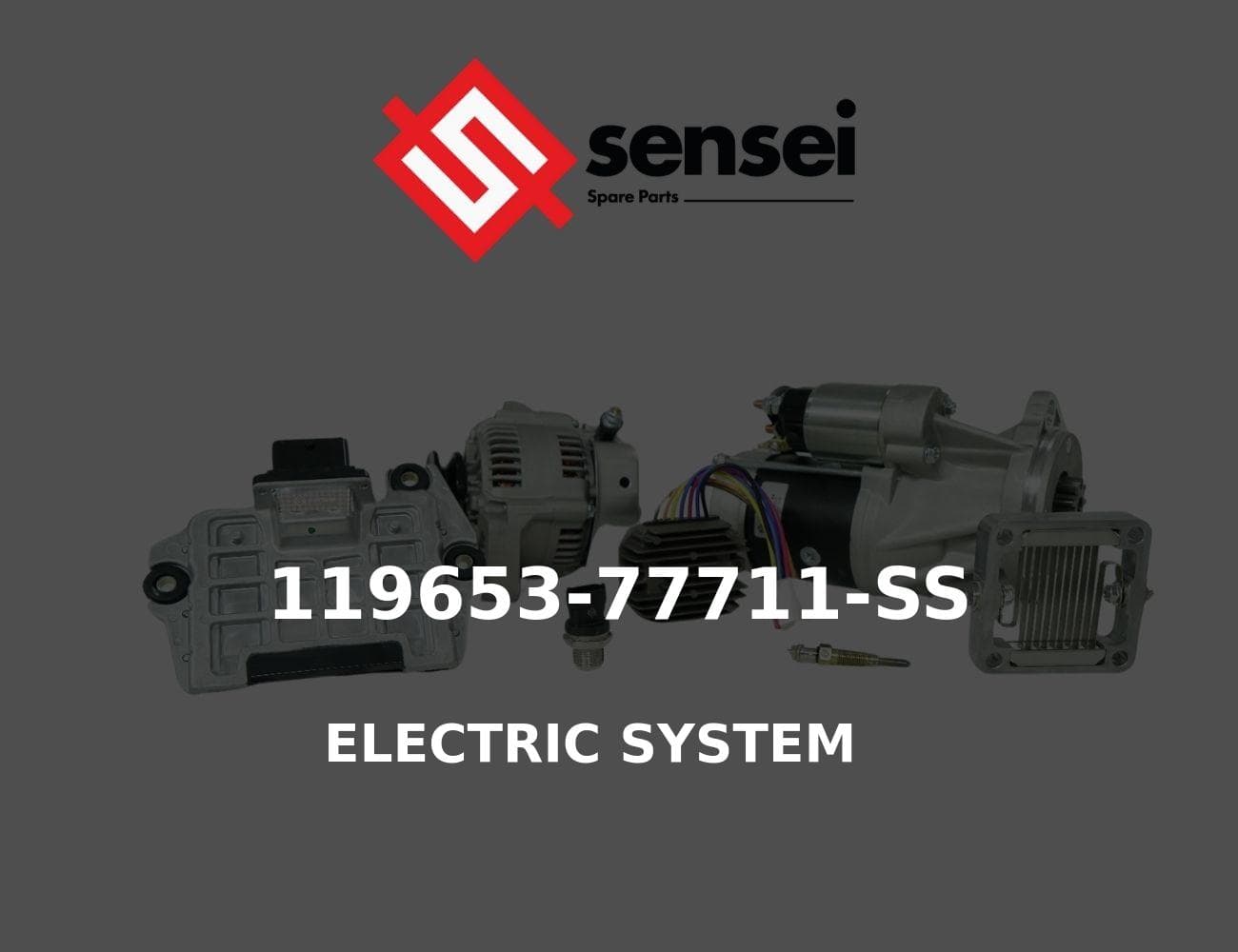 119653-77711-SS