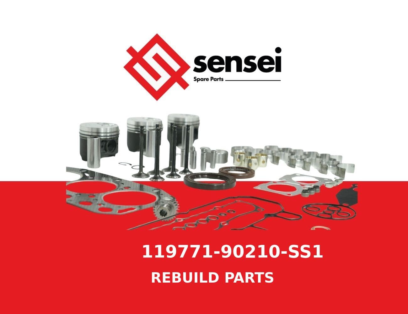 119771-90210-SS1