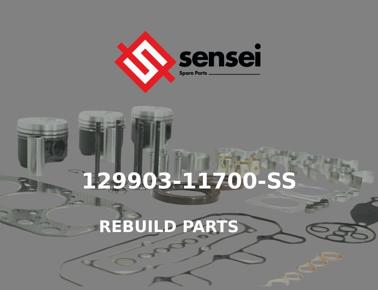 129903-11700-SS